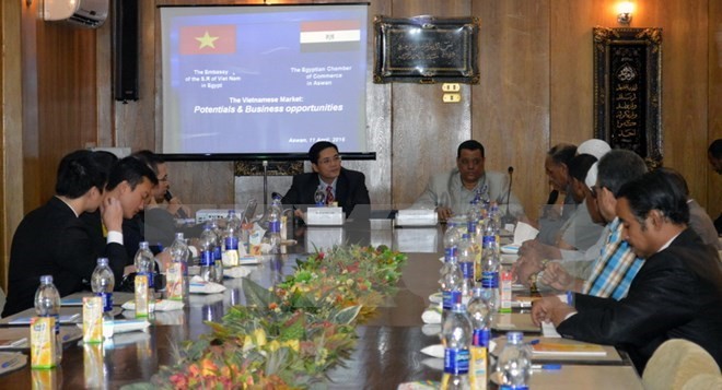 Egyptian investors expand business in Vietnam - ảnh 1